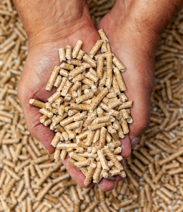 Tout savoir sur la fabrication des pellets ou granulés de bois