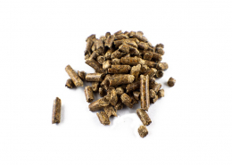 granules de bois cabuche